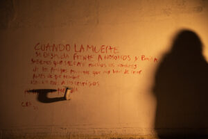 Fotografía de Jacobo Linares (2025) She got devoured [Serie fotográfica]. Poema de Alonso Mejías Ureta (2025), Striptease en Los barcos Hundidos, Ed. Patronus, BsAs